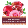 VÍA NATURAL GRANADA-ROSA-RESVERATROL